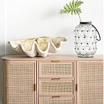 Блюдо декоративное в виде ракушки Seashell варинант исполнения - 1 | Loft Concept в Волгограде