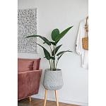 Декоративный искусственное растение Decor Stile  варинант исполнения - 6 | Loft Concept в Волгограде