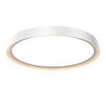 Потолочный светильник Incognito 2700-4000К 46Вт варинант исполнения - 1 | Loft Concept в Волгограде