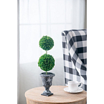 Декоративный искусственное растение Double boxwood варинант исполнения - 5 | Loft Concept в Волгограде