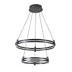 Люстра светодиодная с 2-мя плафонами в форме колец из акрила и алюминия с пультом для регулировки света Ring Horizontal Black варинант исполнения - 4 | Loft Concept в Волгограде