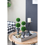 Декоративный искусственное растение Double boxwood варинант исполнения - 8 | Loft Concept в Волгограде