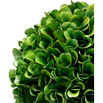 Декоративный искусственное растение Single boxwood варинант исполнения - 2 | Loft Concept в Волгограде