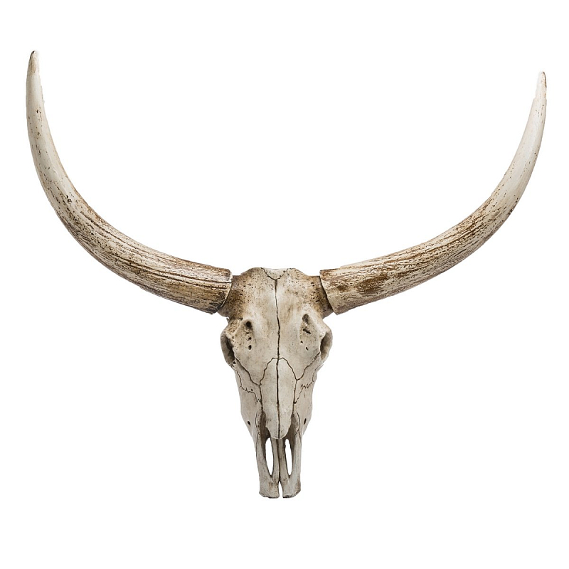 Череп быка Bull Skull Бежево-серый Череп быка Bull Skull Бежево-серый в Волгограде | Loft Concept
