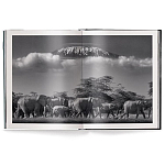 Книга Beusker. Look into my Eyes варинант исполнения - 2 | Loft Concept в Волгограде