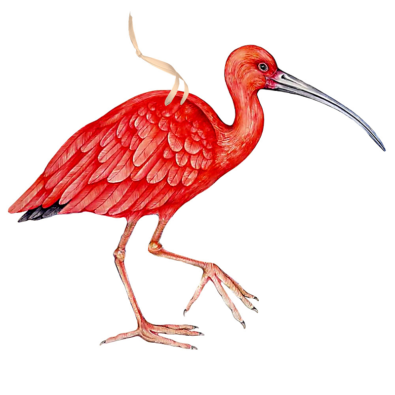 Арт-объект Scarlet Ibis Красный Арт-объект Scarlet Ibis Красный в Волгограде | Loft Concept