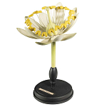 Статуэтка Tilia варинант исполнения - 3 | Loft Concept в Волгограде