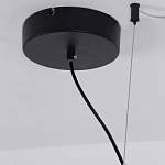 Люстра подвесная светодиодная черный металл Ring Horizontal варинант исполнения - 13 | Loft Concept в Волгограде