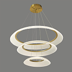 Люстра подвесная с 3-мя кольцевыми светодиодными лампами Catcher варинант исполнения - 1 | Loft Concept в Волгограде