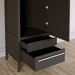 Узкий Шкаф Primo с 2 выдвижными ящиками Темный орех варинант исполнения - 5 | Loft Concept в Волгограде