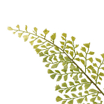 Декоративный искусственное растение Dried flower варинант исполнения - 3 | Loft Concept в Волгограде