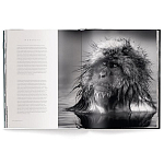 Книга Beusker. Look into my Eyes варинант исполнения - 3 | Loft Concept в Волгограде