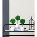 Декоративный искусственное растение Boxwood One варинант исполнения - 9 | Loft Concept в Волгограде