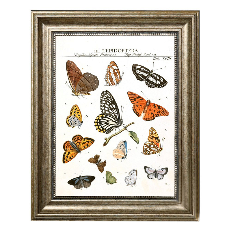 Постер Little Butterflies Постер Little Butterflies в Волгограде | Loft Concept