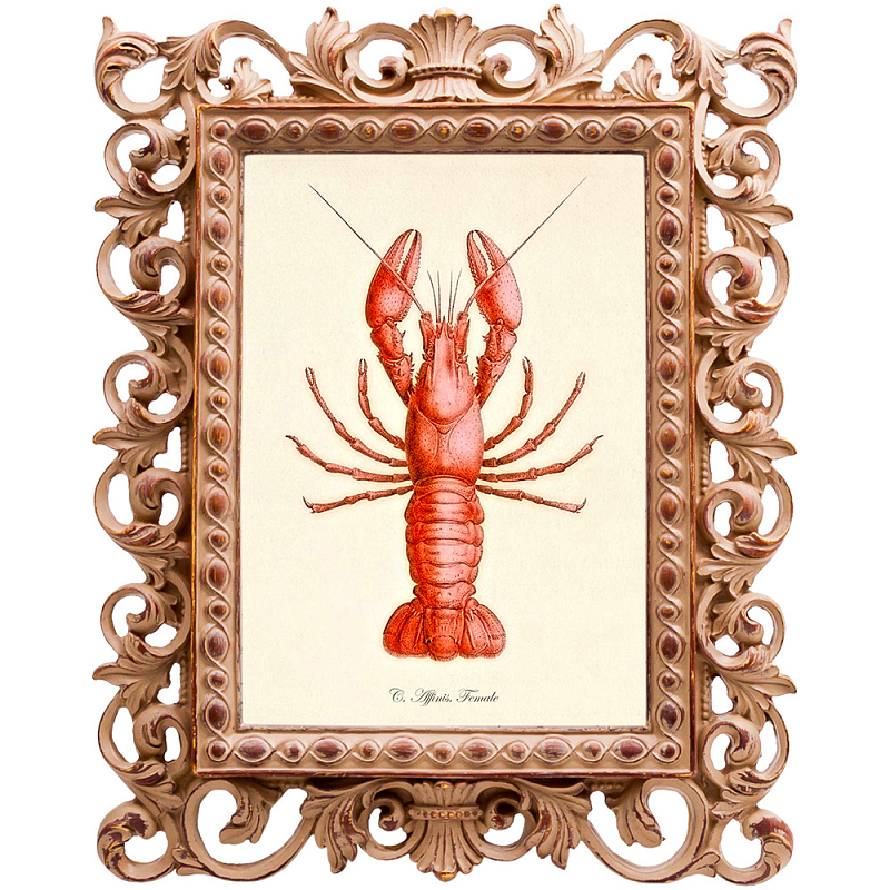 Постер Red Lobster Бежевый Красный в Волгограде | Loft Concept 