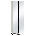 Двухдверный шкаф с зеркальными дверцами Strict Lines варинант исполнения - 5 | Loft Concept в Волгограде