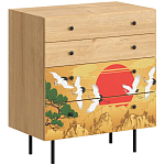 Комод с принтом на ящиках Elise Chest of Drawers варинант исполнения - 4 | Loft Concept в Волгограде