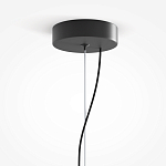 Подвесной светильник Rare grapes варинант исполнения - 4 | Loft Concept в Волгограде