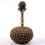 Статуэтка тропический фрукт Pandora Tropical Fruit Brown варинант исполнения - 2 | Loft Concept в Волгограде