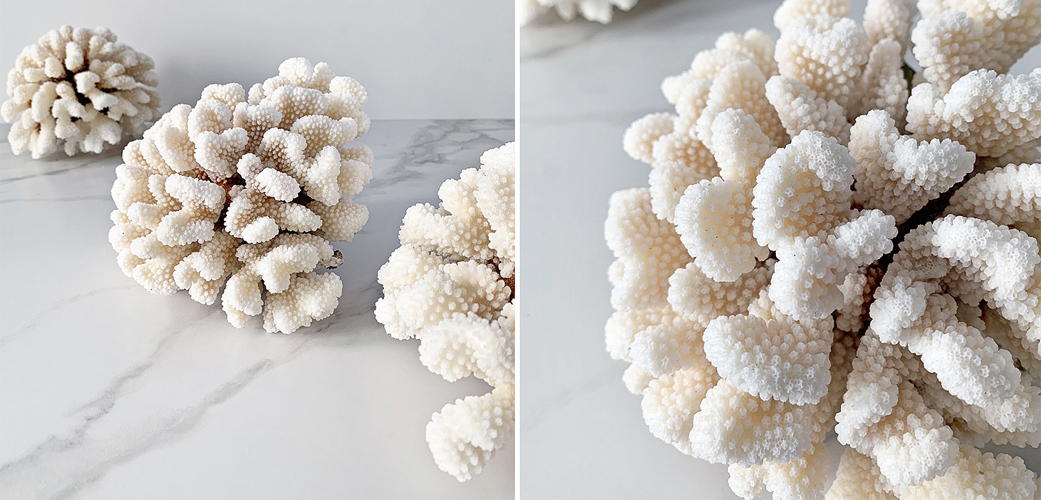 Статуэтка Brownstem Coral Статуэтка Brownstem Coral - Loft-Concept в Волгограде