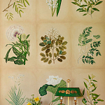 Обои ручная роспись Botanical Studies Linnaeus colourway варинант исполнения - 3 | Loft Concept в Волгограде