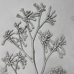 Панно Лесной цветок варинант исполнения - 4 | Loft Concept в Волгограде