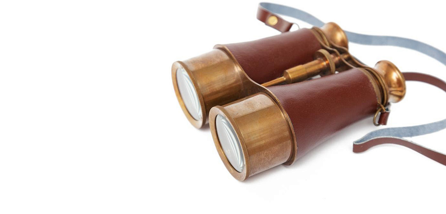 Винтажный бинокль в подарочной коробке Victorian Era Brass Binoculars - Loft-Concept в Волгограде