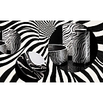 Редкое коллекционное издание Casa Cavalli Home: Celebrating the Roberto Cavalli Lifestyle Зебра варинант исполнения - 4 | Loft Concept в Волгограде