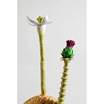 Статуэтка тропический фрукт Pandora Tropical Fruit Orange Two Flowers варинант исполнения - 2 | Loft Concept в Волгограде