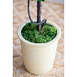 Декоративный искусственное растение Single boxwood варинант исполнения - 6 | Loft Concept в Волгограде