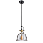 Подвесной светильник Moss варинант исполнения - 3 | Loft Concept в Волгограде