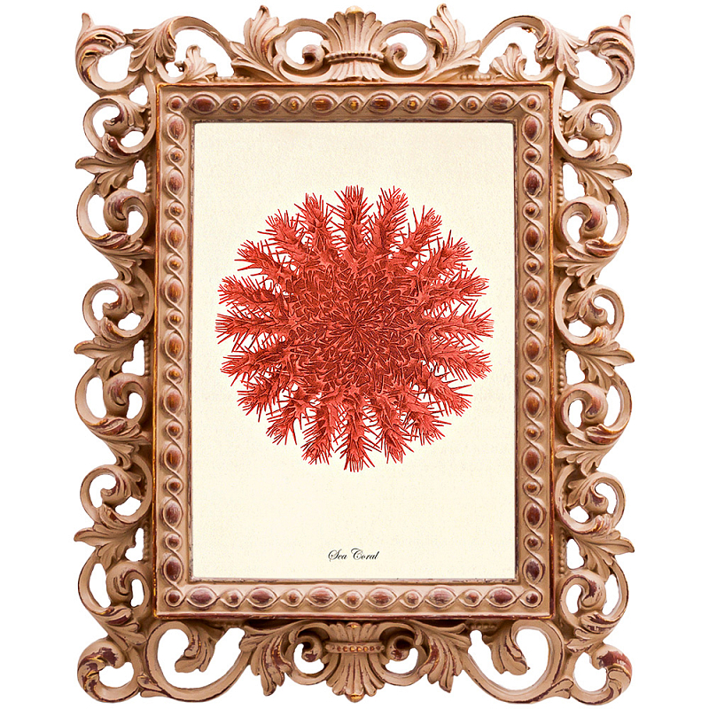 Постер Red Sea Urchin Бежевый Красный в Волгограде | Loft Concept 
