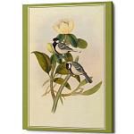 Постер на холсте с изображением птиц Blooming Birds Poster варинант исполнения - 10 | Loft Concept в Волгограде