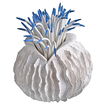 Статуэтка тропический фрукт Tropical Fruit White Blue варинант исполнения - 2 | Loft Concept в Волгограде