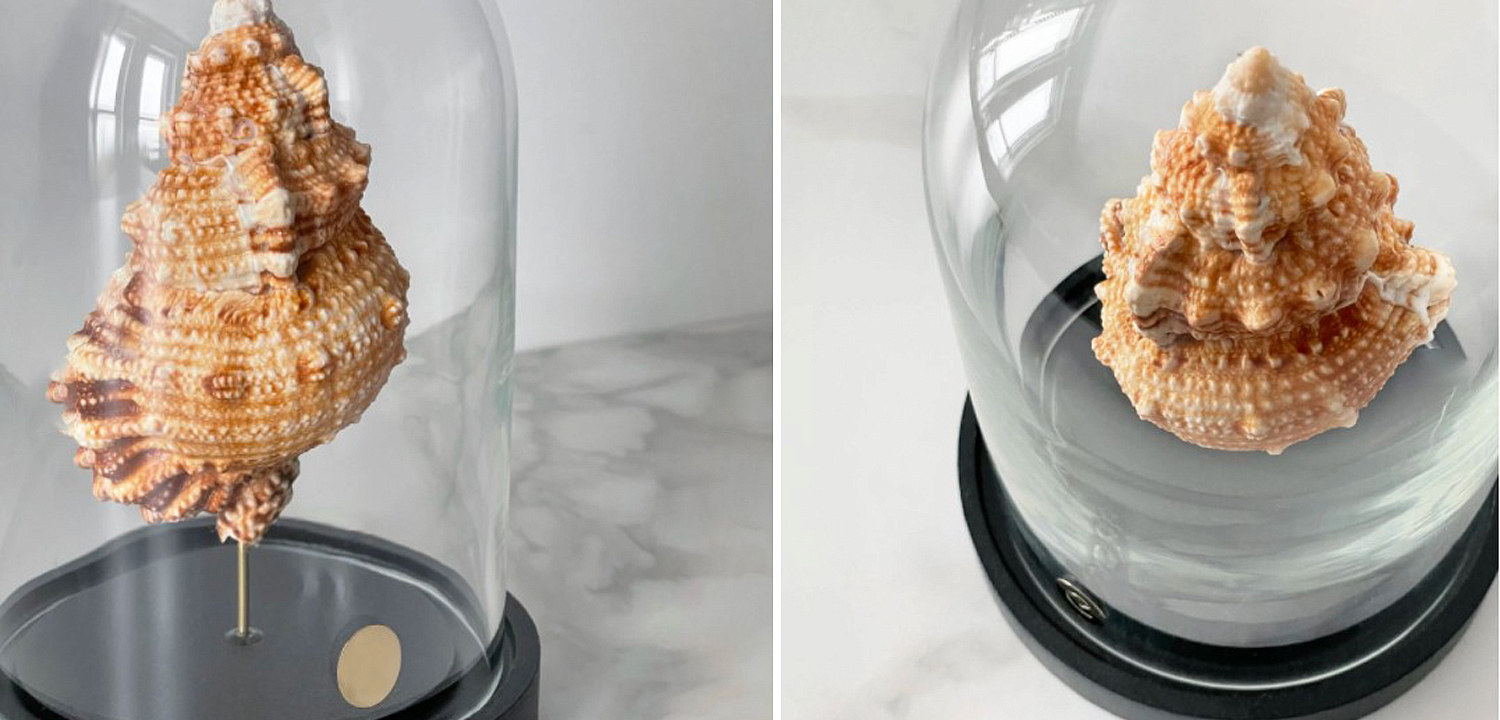 Статуэтка Bursa Rubeta Glass Cloche Статуэтка Bursa Rubeta Glass Cloche - Loft-Concept в Волгограде