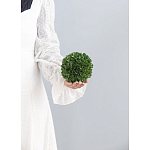 Декоративный искусственное растение Small boxwood варинант исполнения - 3 | Loft Concept в Волгограде