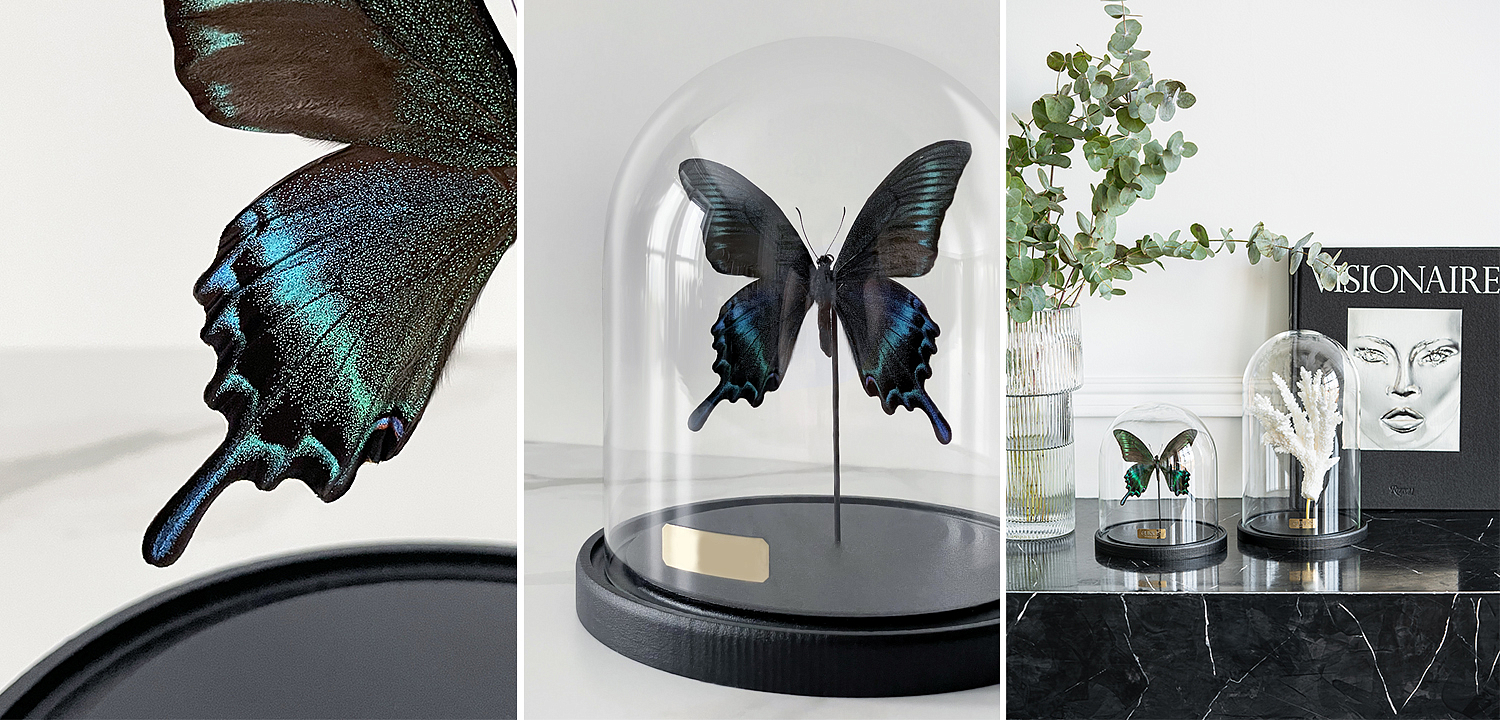 Статуэтка Butterfly Sailboat Maaka Glass Cloche Статуэтка Butterfly Sailboat Maaka Glass Cloche - Loft-Concept в Волгограде