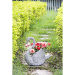 Кашпо The Proud Swan варинант исполнения - 6 | Loft Concept в Волгограде