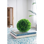 Декоративный искусственное растение Round boxwood варинант исполнения - 6 | Loft Concept в Волгограде