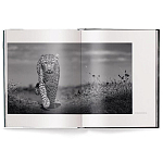 Книга Beusker. Look into my Eyes варинант исполнения - 1 | Loft Concept в Волгограде