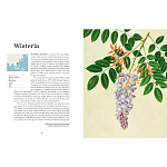 Прекрасно иллюстрированная книга более 100 ботанических произведений Plant Hunters Atlas варинант исполнения - 4 | Loft Concept в Волгограде