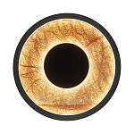 Бра круглое Gold Sun Lighting  варинант исполнения - 1 | Loft Concept в Волгограде