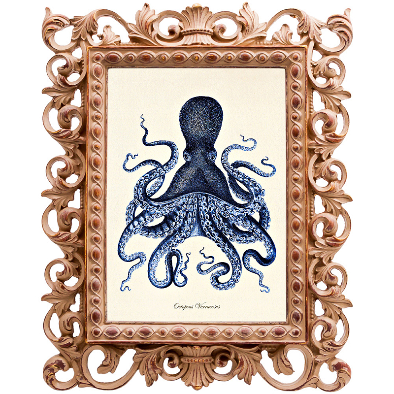 Постер Blue Octopus Poster Бежевый Морская синь в Волгограде | Loft Concept 