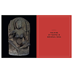 Книга Tantra: Enlightenment to Revolution варинант исполнения - 5 | Loft Concept в Волгограде