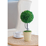 Декоративный искусственное растение Single boxwood варинант исполнения - 5 | Loft Concept в Волгограде