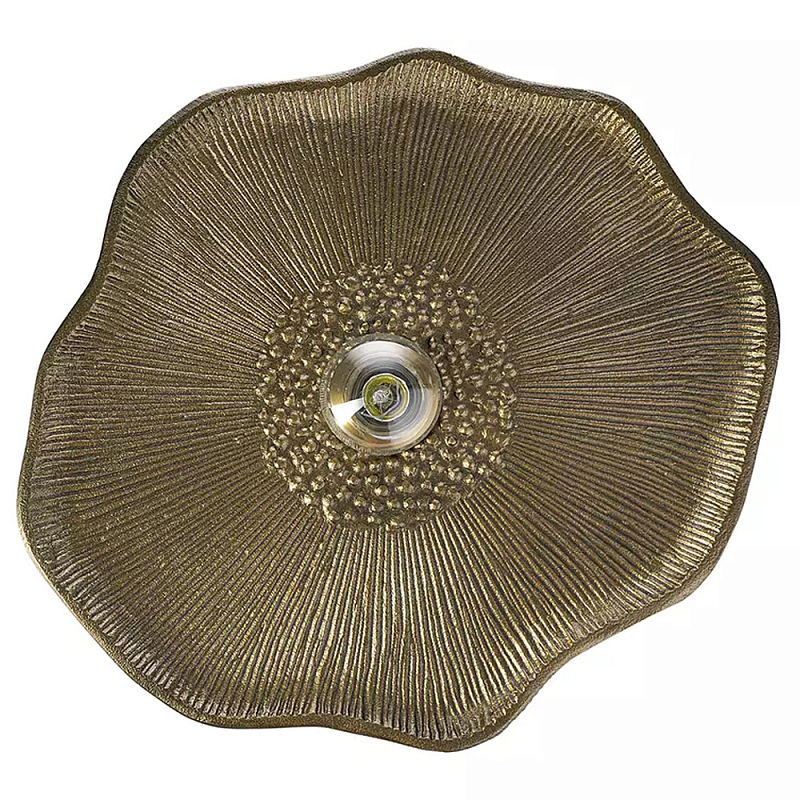 Бра рельефное в виде цветка Embossed Flower Латунь Бра рельефное в виде цветка Embossed Flower Латунь в Волгограде | Loft Concept