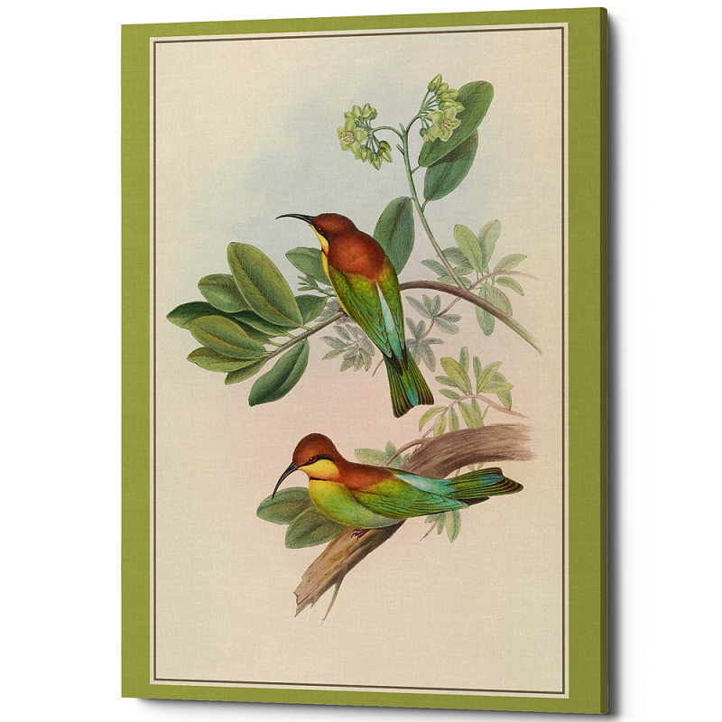 Постер на холсте с изображением птиц Blooming Birds Poster Бежевый Салатовый Мульти в Волгограде | Loft Concept 