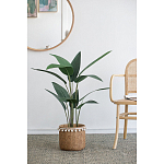 Декоративный искусственное растение Decor Stile  варинант исполнения - 5 | Loft Concept в Волгограде