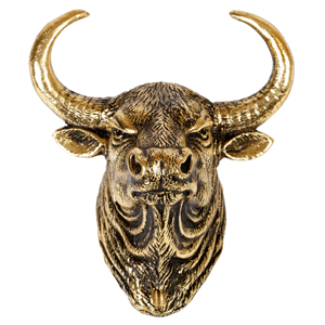 Категория товаров: Бык